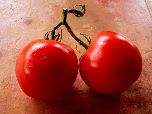 tomatoes-14854_640